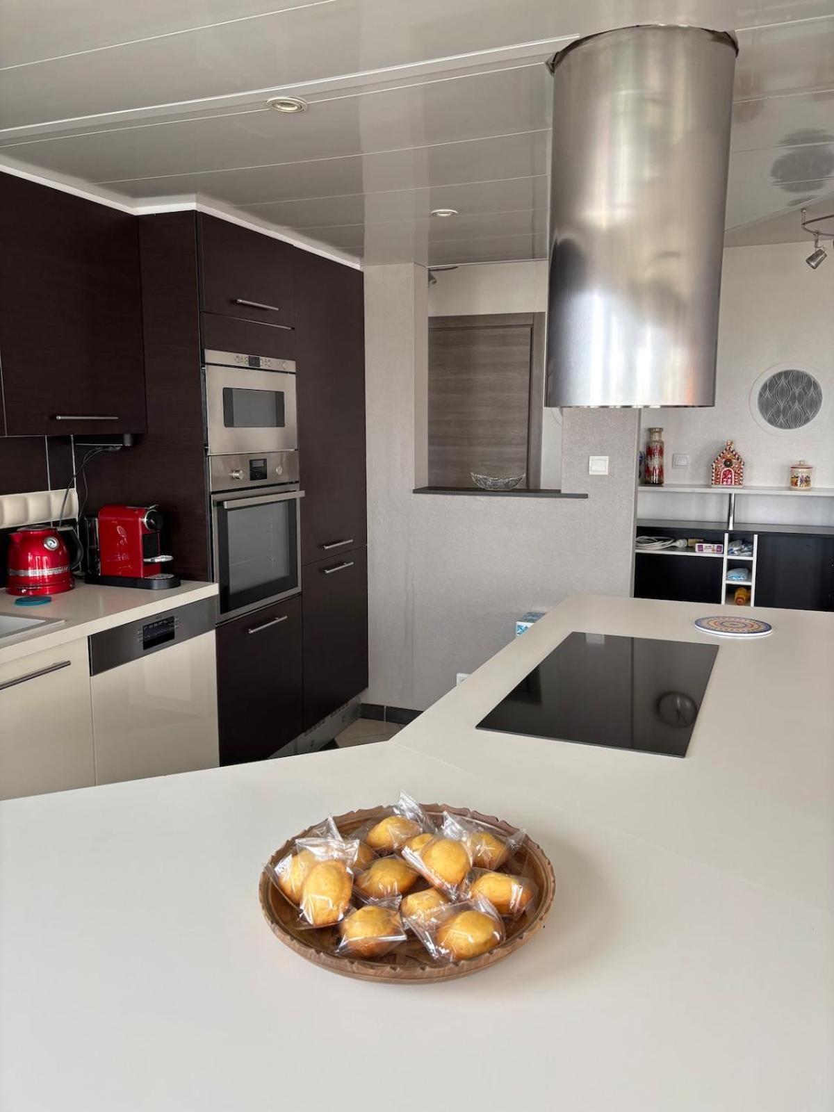 Attique Avec Terrasse - Zenith & Centre-ville Apartment Straßburg
