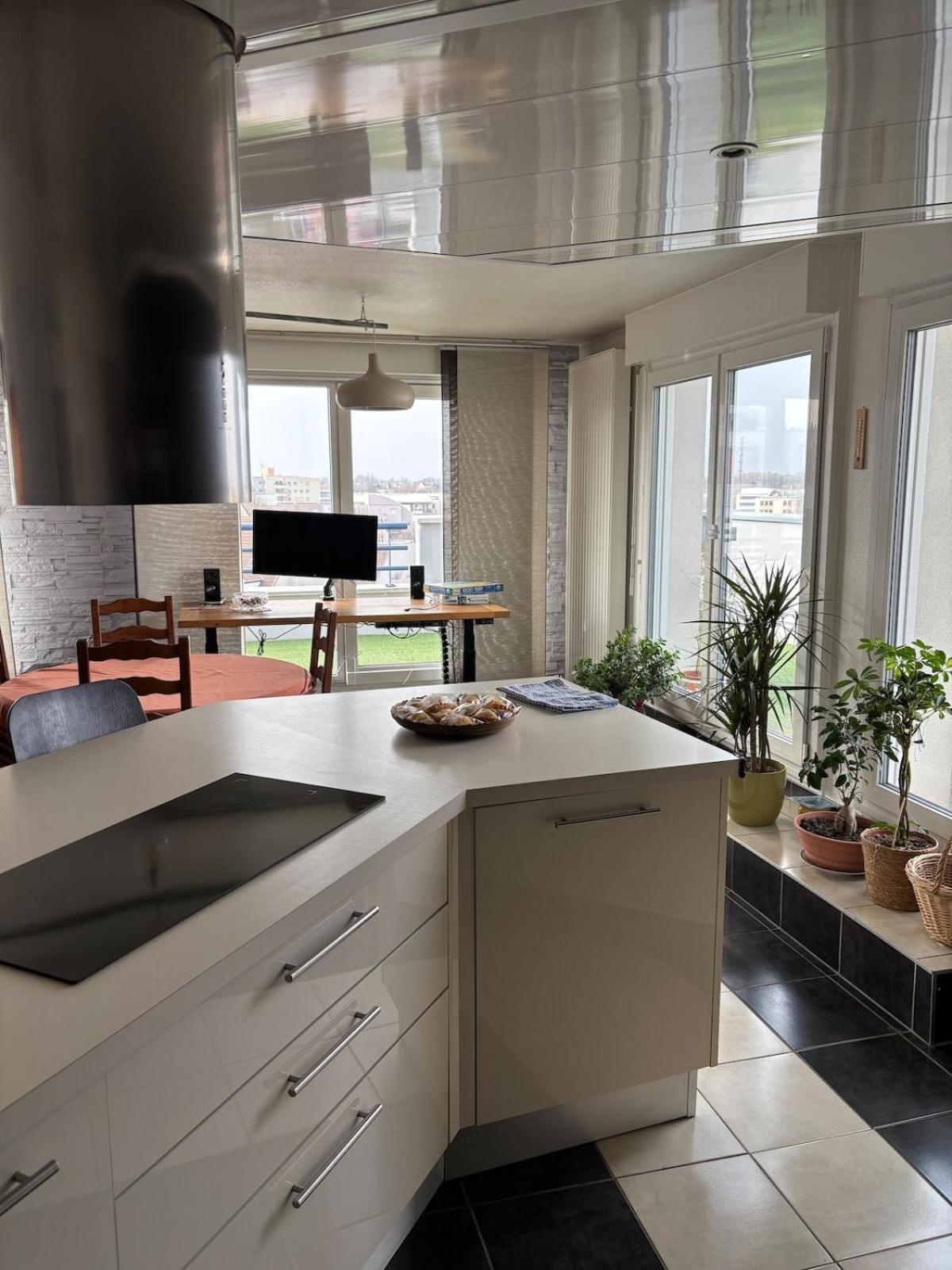 Attique Avec Terrasse - Zenith & Centre-ville *